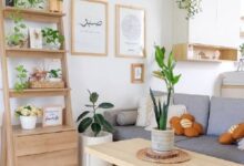Lima Tanaman Indoor yang Mudah Dirawat, Bantu Rumah Terasa Lebih Segar dan Rapi