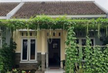 Kanopi Sayur Rambat Ubah Ruang Sempit Jadi Teduh Dan Produktif, 8 Ide Untuk Rumah Tipe 36