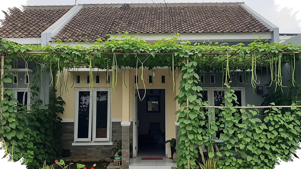 Kanopi Sayur Rambat Ubah Ruang Sempit Jadi Teduh Dan Produktif, 8 Ide Untuk Rumah Tipe 36