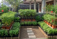 9 Ide Kebun Sayur Depan Rumah, Bikin Halaman Tetap Lapang dan Tertata Rapi