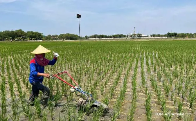 Pasuruan Diperkirakan Paling Panas, Jawa Timur Tetap Didominasi Cerah Namun Kabut Mengintai