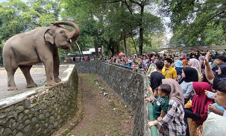 Jangan Anggap Remeh Kandang Satwa, Begini Cara Menjaga Anak Tetap Aman Di Ragunan