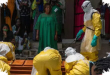 Separuh Pasien Terancam Meninggal, WHO Soroti Bahaya Ebola Di Kongo dan Uganda