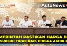 Stok Pertalite Dan Biosolar Masih Aman, Pemerintah Menahan Kenaikan Harga Hingga Akhir Tahun