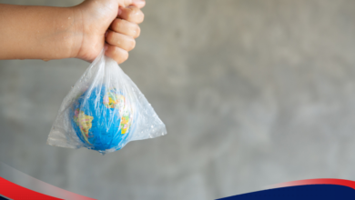 Paparan BPA Di Kemasan Harian, Bisa Memicu Pubertas Dini Dan Gangguan Hormonal Anak