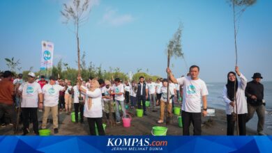 Jawa Tengah Gerakkan 92.290 Bibit Pesisir Serentak, Tirang Jadi Titik Awal Lawan Rob