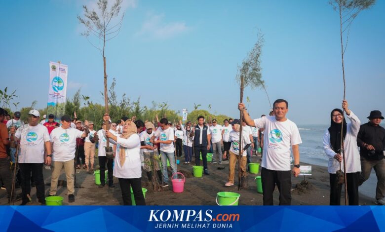 Jawa Tengah Gerakkan 92.290 Bibit Pesisir Serentak, Tirang Jadi Titik Awal Lawan Rob