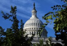 Saham Nvidia, Apple, dan Microsoft Kini Memenuhi Portofolio Legislator AS, Di Tengah Aturan Baru AI dan Kripto