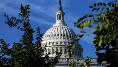Saham Nvidia, Apple, dan Microsoft Kini Memenuhi Portofolio Legislator AS, Di Tengah Aturan Baru AI dan Kripto