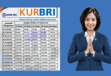 Plafon Lebih Besar Dari KUR, Simulasi Cicilan BRI Non-KUR Ini Layak Dicek Lebih Dulu