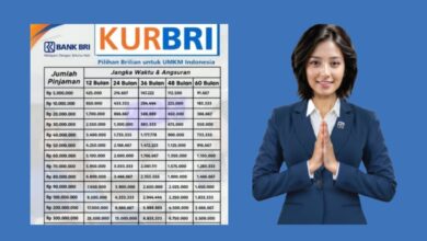 Plafon Lebih Besar Dari KUR, Simulasi Cicilan BRI Non-KUR Ini Layak Dicek Lebih Dulu