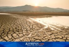 Pemprov Jabar Siapkan Aturan Siaga Kekeringan, Antisipasi El Nino Hingga Oktober 2026