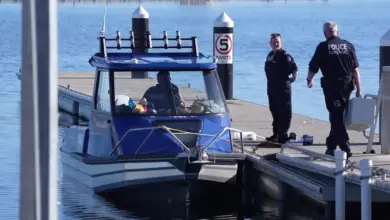 Polisi Selidiki Kematian Penyelam Di Australia Barat, Diduga Diserang Hiu 4,5 Meter