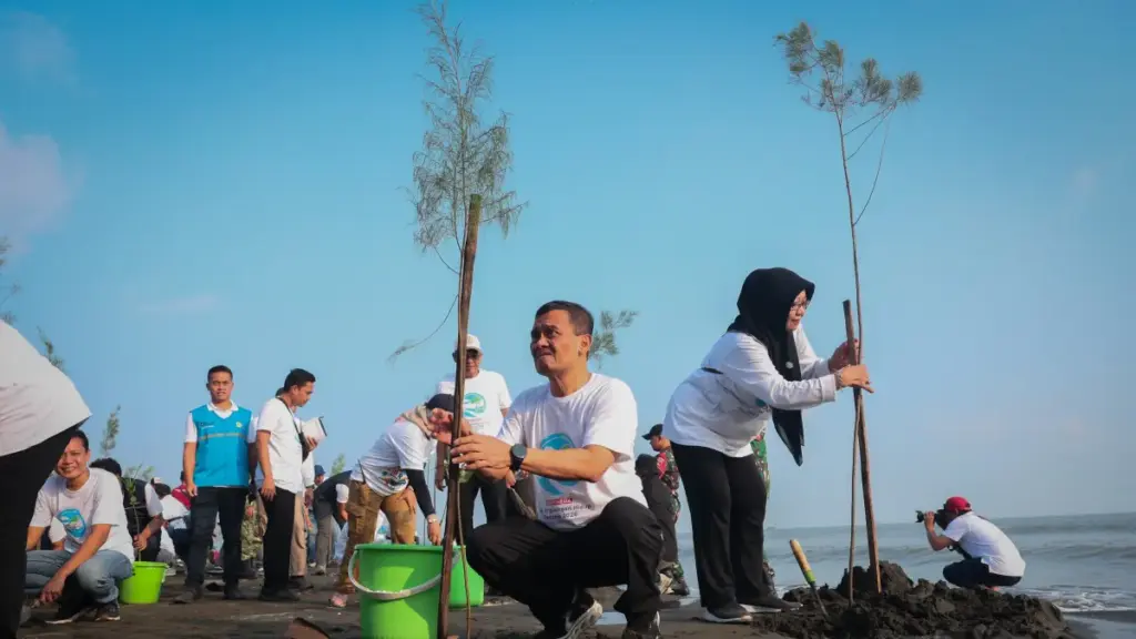 Gerakan Serentak Di Pesisir Jateng, 92.290 Bibit Cemara Laut dan Mangrove Ditanam untuk Menahan Abrasi
