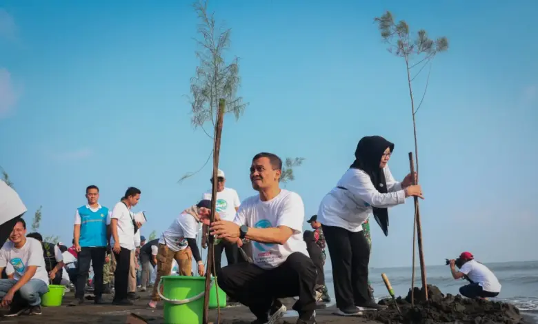 Gerakan Serentak Di Pesisir Jateng, 92.290 Bibit Cemara Laut dan Mangrove Ditanam untuk Menahan Abrasi