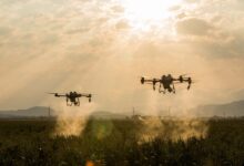 Pemupukan Sawit Di Riau Kini Cuma Hitungan Menit, Drone Agras T40 Bikin Kerja Lapangan Melonjak Cepat