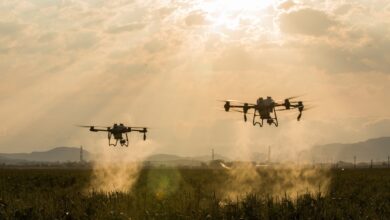 Pemupukan Sawit Di Riau Kini Cuma Hitungan Menit, Drone Agras T40 Bikin Kerja Lapangan Melonjak Cepat