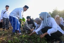 Santri Turun Menanam Mangrove Di Rembang, Upaya Jateng Menahan Abrasi Pesisir