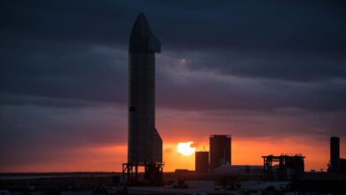 Alphabet Makin Tertekan Urusan Kapasitas AI, Google Bayar SpaceX Rp14,9 Triliun per Bulan