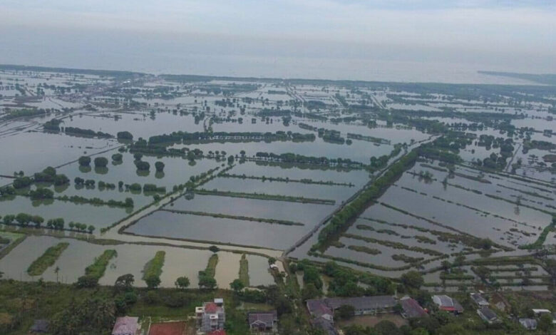 Penataan Laut Batang Menguat, Ekspansi Industri Kini Wajib Sejalan Dengan Pesisir