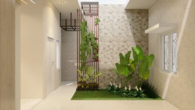 Lidah Mertua Hingga Sukulen, 7 Tanaman Hias Ringkas yang Mudah Bikin Rumah Modern Lebih Hidup