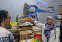 Stok Beras Jateng Tembus 366 Ribu Ton, Bulog Genjot Bantuan Untuk Tahan Harga
