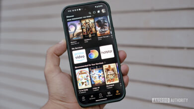 Kenaikan Harga Lifetime Plex Sulit Dipertahankan, Fitur Sosial Baru Dinilai Belum Sebanding