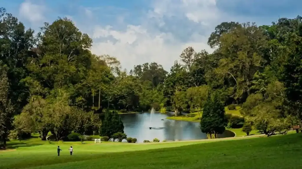 Tiket dan Paket Wisata Jadi Kunci, Kebun Raya Cibodas Tawarkan Liburan Lengkap di Kaki Gede Pangrango