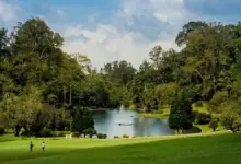 Tiket dan Paket Wisata Jadi Kunci, Kebun Raya Cibodas Tawarkan Liburan Lengkap di Kaki Gede Pangrango