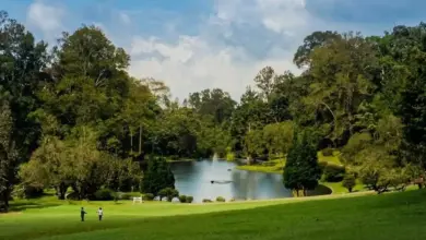 Tiket dan Paket Wisata Jadi Kunci, Kebun Raya Cibodas Tawarkan Liburan Lengkap di Kaki Gede Pangrango