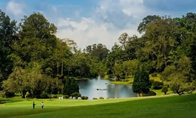 Tiket dan Paket Wisata Jadi Kunci, Kebun Raya Cibodas Tawarkan Liburan Lengkap di Kaki Gede Pangrango