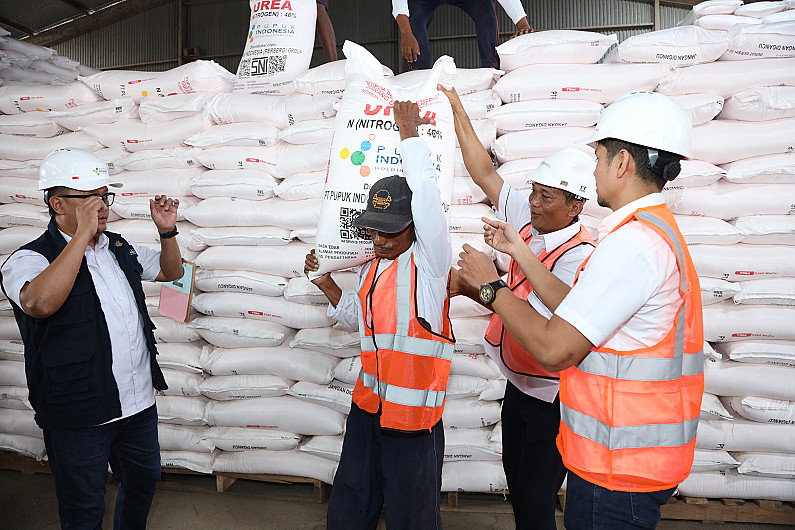 Stok Pupuk Tegal Masih Aman Tiga Minggu, Petani Jateng Dapat Kepastian Menjelang Tanam