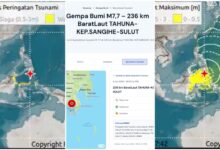 Peringatan Tsunami BMKG Meluas Ke 22 Wilayah, Gempa M7,7 Di Laut Filipina Picu Siaga