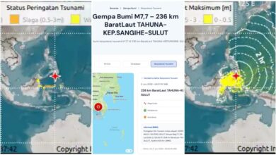 Peringatan Tsunami BMKG Meluas Ke 22 Wilayah, Gempa M7,7 Di Laut Filipina Picu Siaga