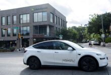 Cakupan Robotaxi Tesla Kini Merata Di Seluruh Austin, Namun Jumlah Armada Turun Jadi Tanda Tanya