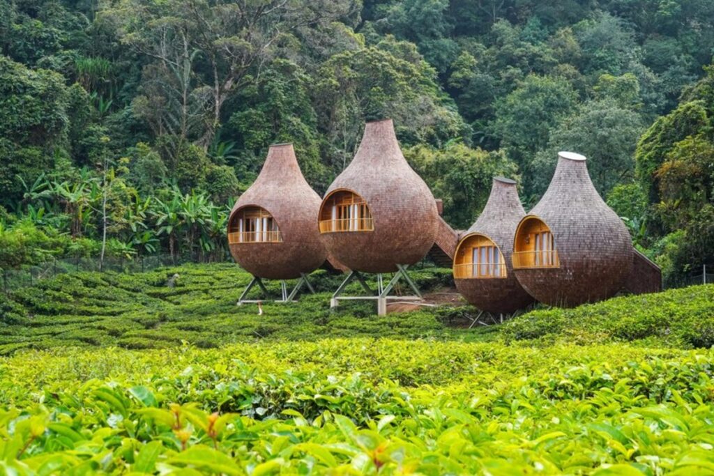 Bogor Siapkan Libur Panjang Paling Lengkap, Dari Curug Murah Hingga Glamping Estetik