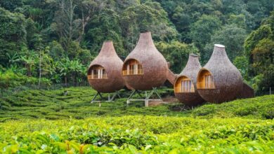 Bogor Siapkan Libur Panjang Paling Lengkap, Dari Curug Murah Hingga Glamping Estetik