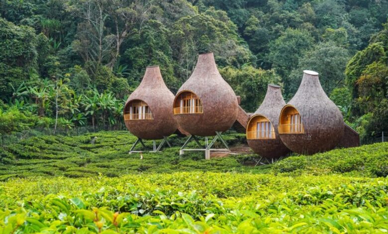 Bogor Siapkan Libur Panjang Paling Lengkap, Dari Curug Murah Hingga Glamping Estetik