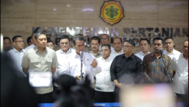 Harga TBS Mulai Naik Lagi Di Sejumlah Daerah, Petani Sawit Menunggu Stabilitas Penuh