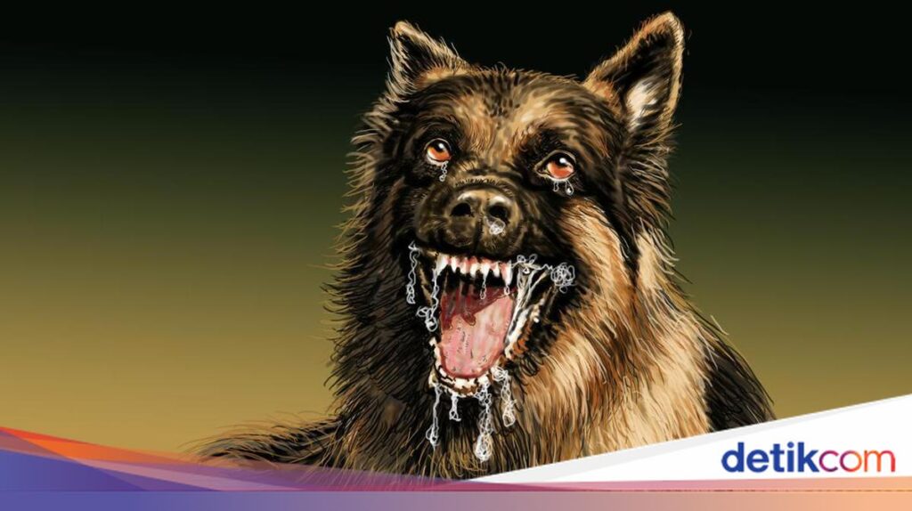 Polisi Telusuri Kematian Bocah 9 Tahun di Jasinga, Diduga Terkait Anjing Pemburu Babi