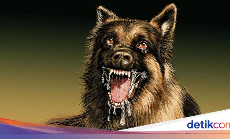 Polisi Telusuri Kematian Bocah 9 Tahun di Jasinga, Diduga Terkait Anjing Pemburu Babi