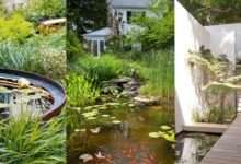 Kolam Ikan Minimalis Tak Perlu Luas, 6 Rancangan Ini Bikin Rumah Lebih Teduh dengan Air Halus
