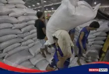 Stok 5,3 Juta Ton Jadi Andalan Bulog, Penyaluran Beras SPHP Dan Bantuan Pangan Dipercepat