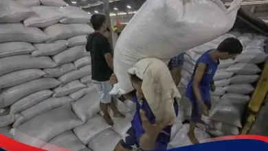 Stok 5,3 Juta Ton Jadi Andalan Bulog, Penyaluran Beras SPHP Dan Bantuan Pangan Dipercepat