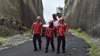 Danantara Tegaskan Perampingan Telkom Tak Picu PHK Massal, 12-14 Anak Usaha Siap Dilikuidasi
