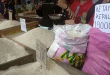 33,2 Juta Keluarga Dapat Tambahan Beras Tiga Bulan, Stok Nasional 5,2 Juta Ton Siap Digerakkan