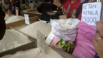 33,2 Juta Keluarga Dapat Tambahan Beras Tiga Bulan, Stok Nasional 5,2 Juta Ton Siap Digerakkan