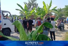 Pohon Pisang di Jalan Rusak Jadi Pemicu, Jateng Tambah Rp 28,7 Miliar untuk Randublatung-Cepu