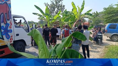 Pohon Pisang di Jalan Rusak Jadi Pemicu, Jateng Tambah Rp 28,7 Miliar untuk Randublatung-Cepu