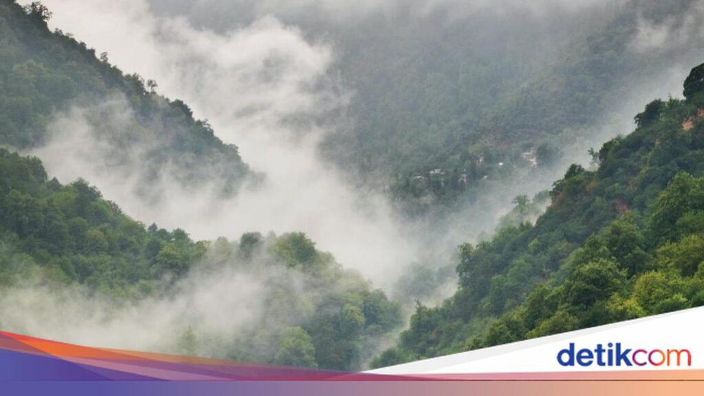 Kabut Mengintai 17 Wilayah Jawa Timur, Ini Daftar Daerah yang Perlu Diwaspadai